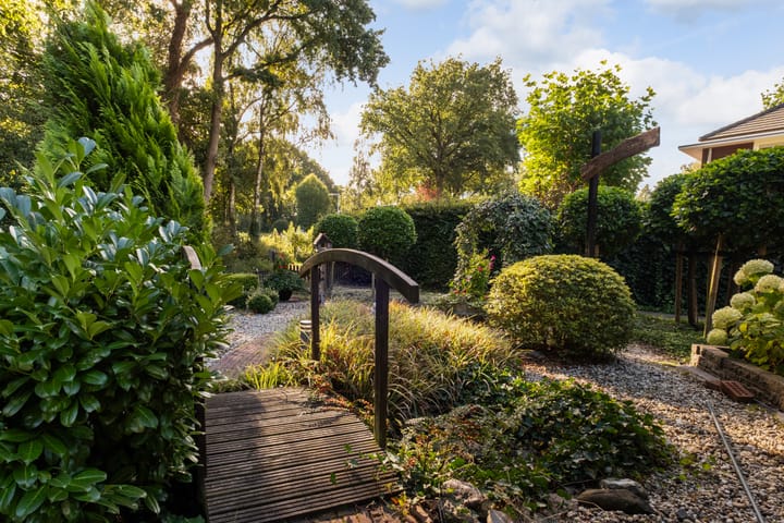 Photo 49 of Bosrand 11