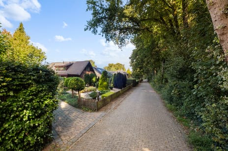 Bosrand 11 secondary image