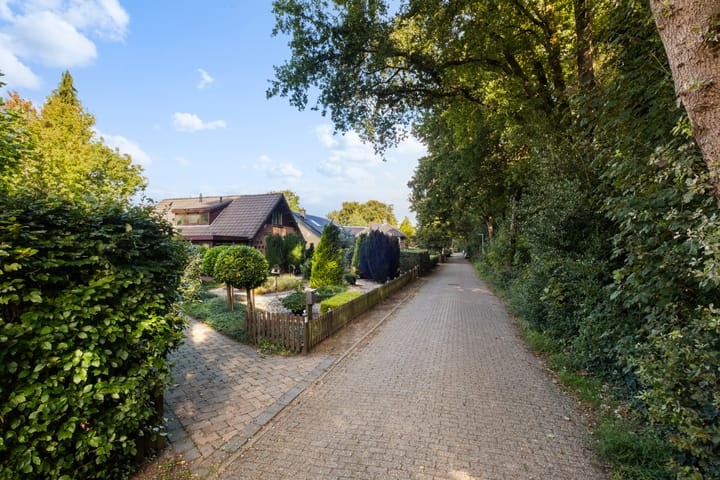 Photo 55 of Bosrand 11