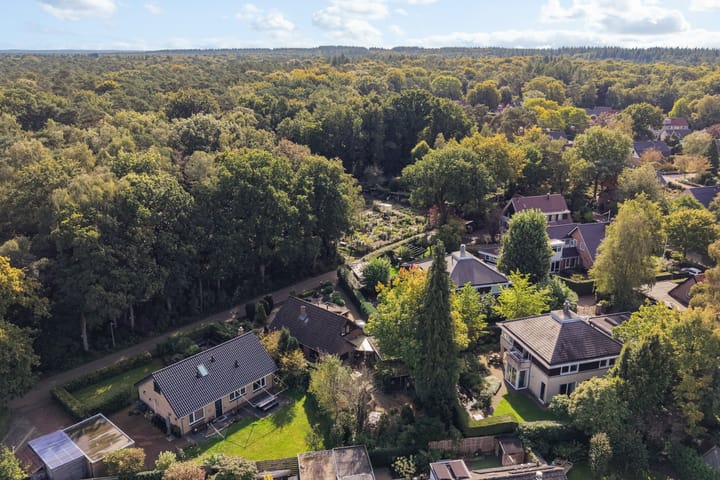 Photo 58 of Bosrand 11