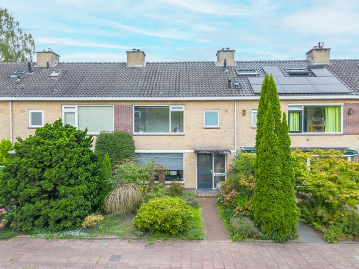 Photo 26 of Colenso 118