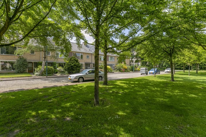 Photo 30 of Colenso 118