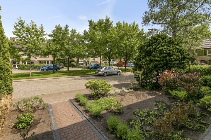 Photo 31 of Colenso 118