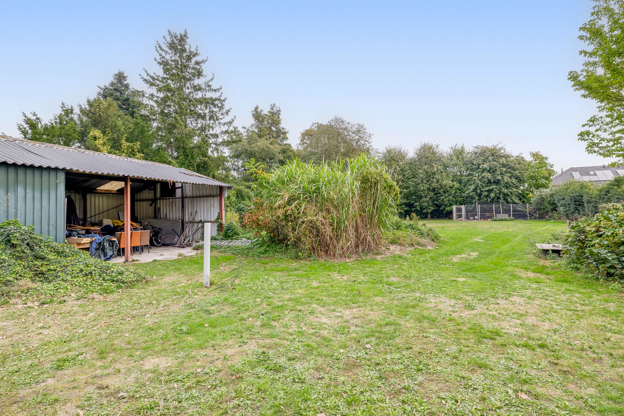 Foto 48 van Peeleik 17