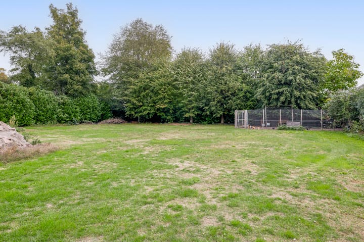 Foto 49 van Peeleik 17