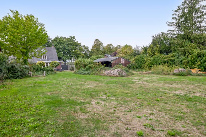 Foto 50 van Peeleik 17