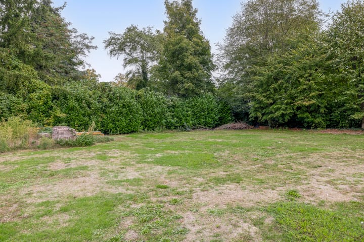 Foto 51 van Peeleik 17