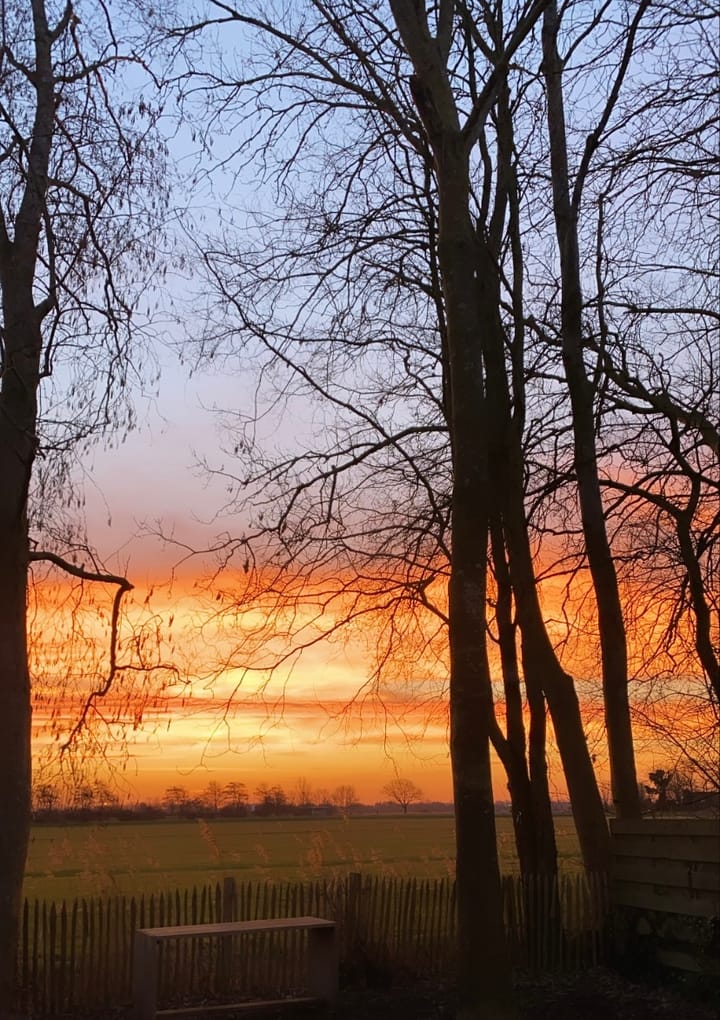 Foto 17 van Nesdijk 20-B