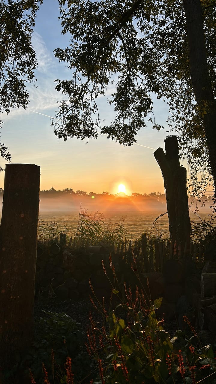 Foto 19 van Nesdijk 20-B