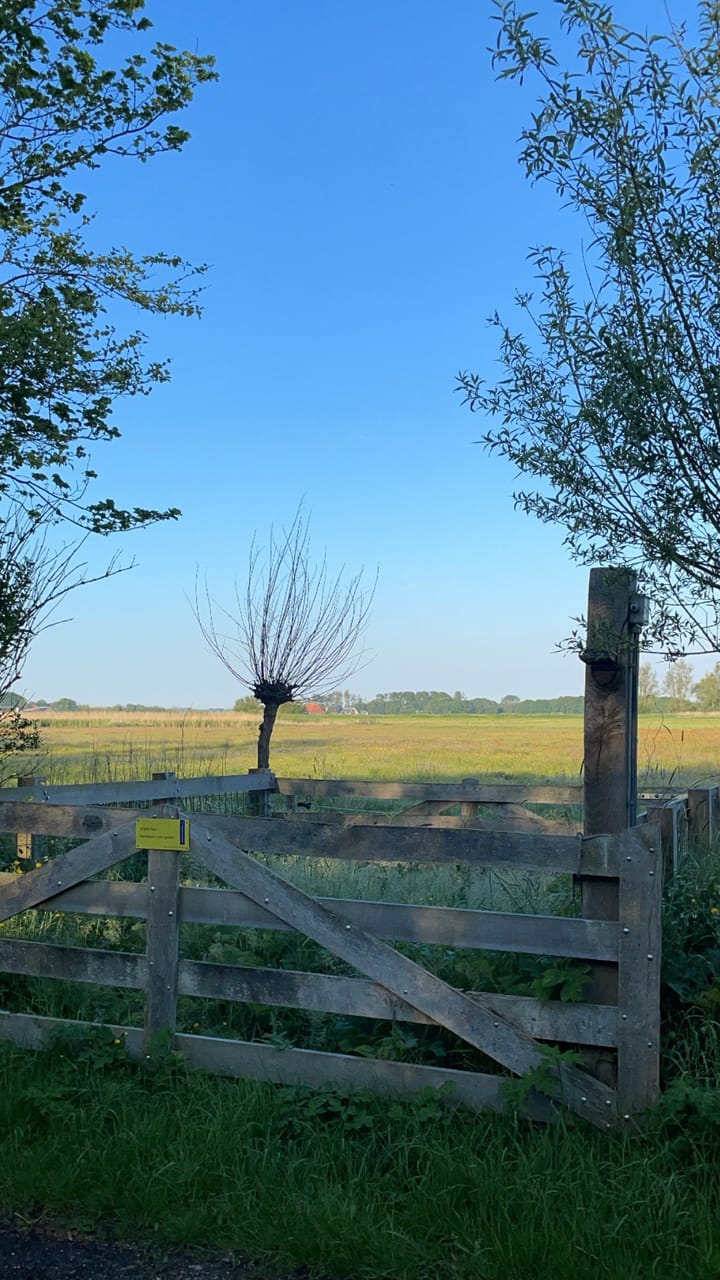 Foto 29 van Nesdijk 20-B