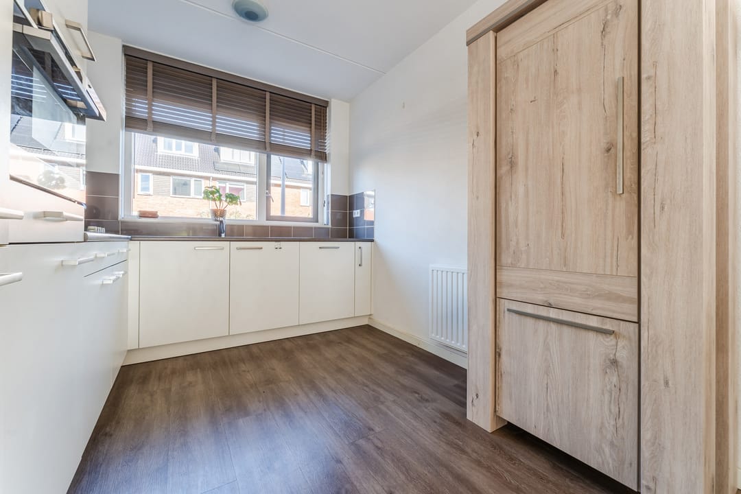 Foto 13 van Buxushaag 15