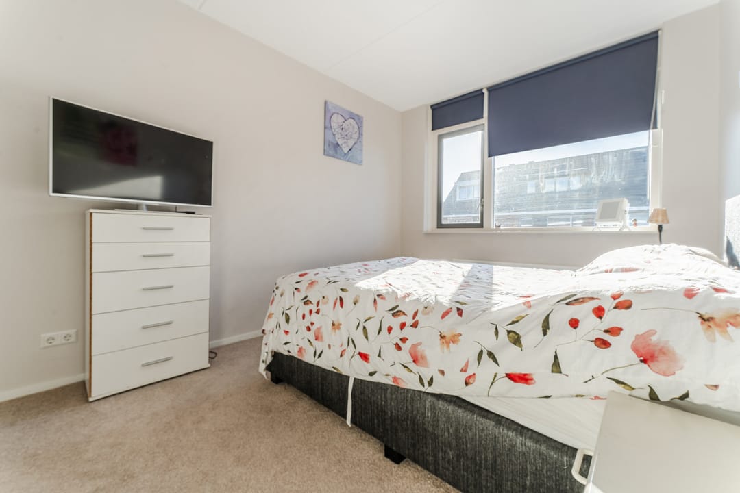 Foto 16 van Buxushaag 15