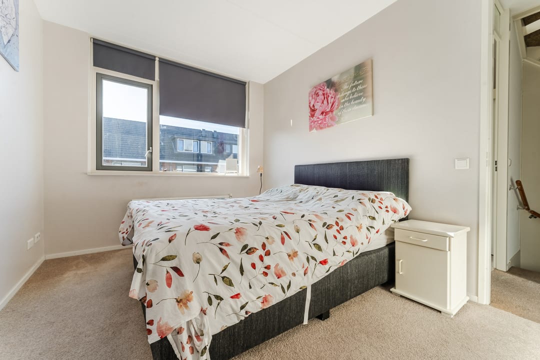 Foto 17 van Buxushaag 15