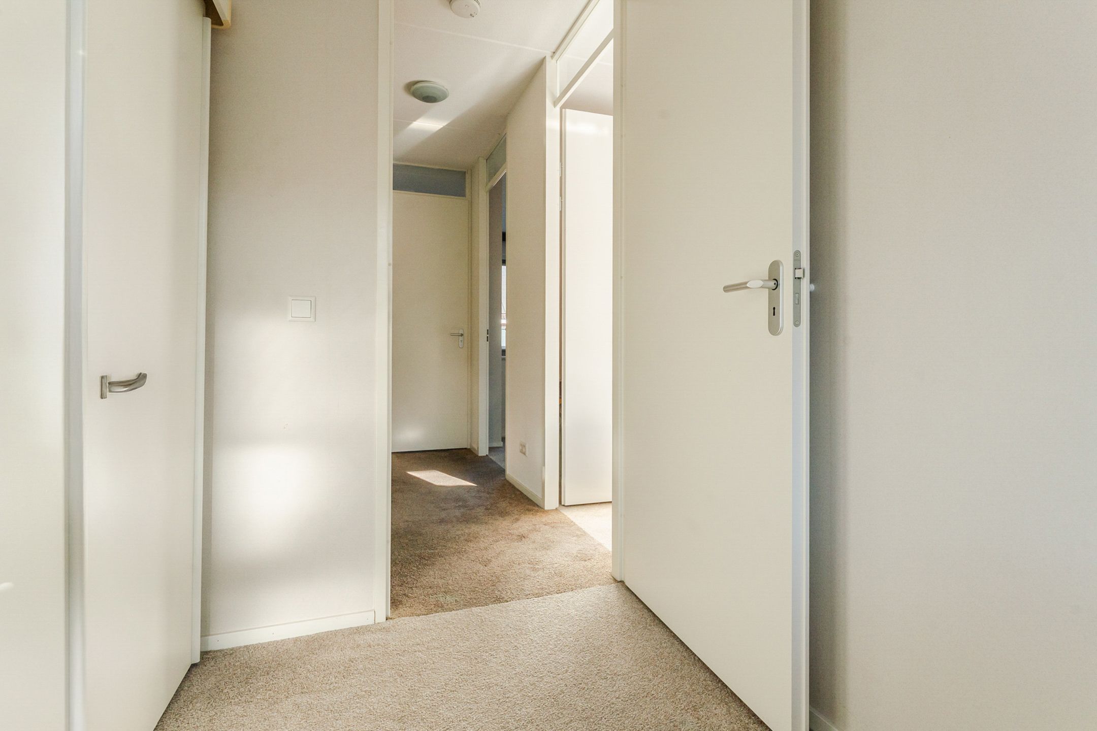 Foto 27 van Buxushaag 15