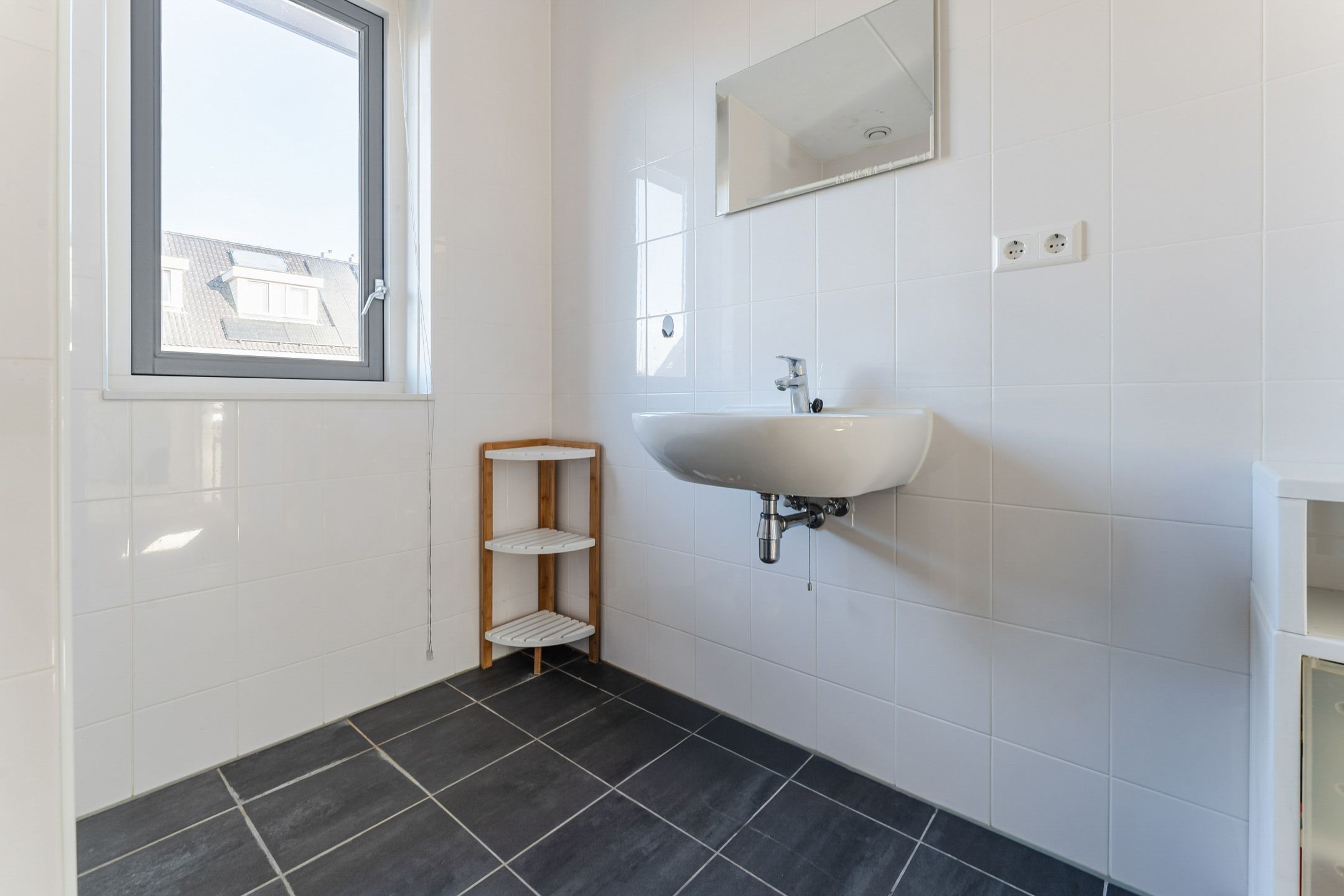 Foto 30 van Buxushaag 15