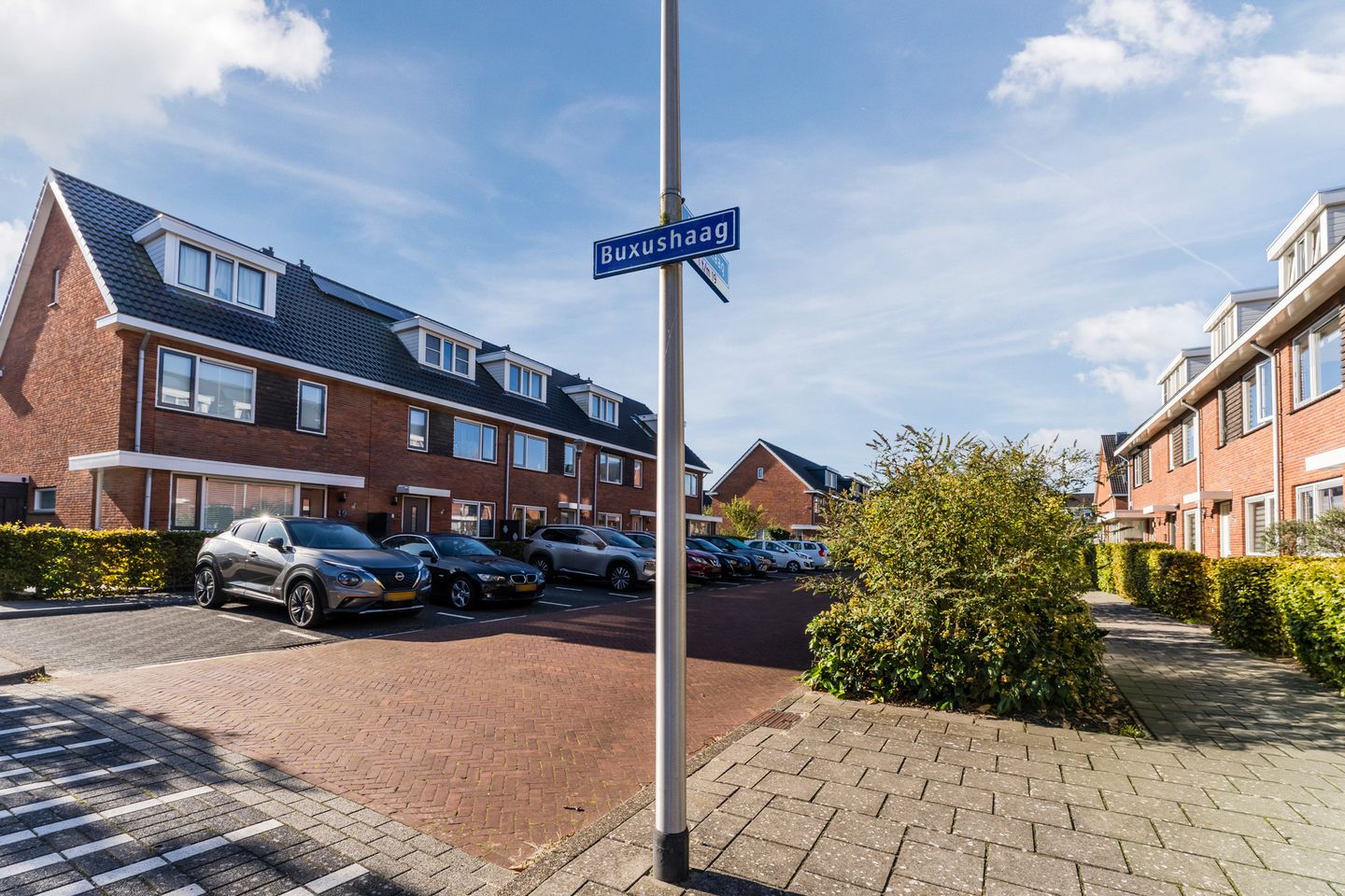 Foto 50 van Buxushaag 15