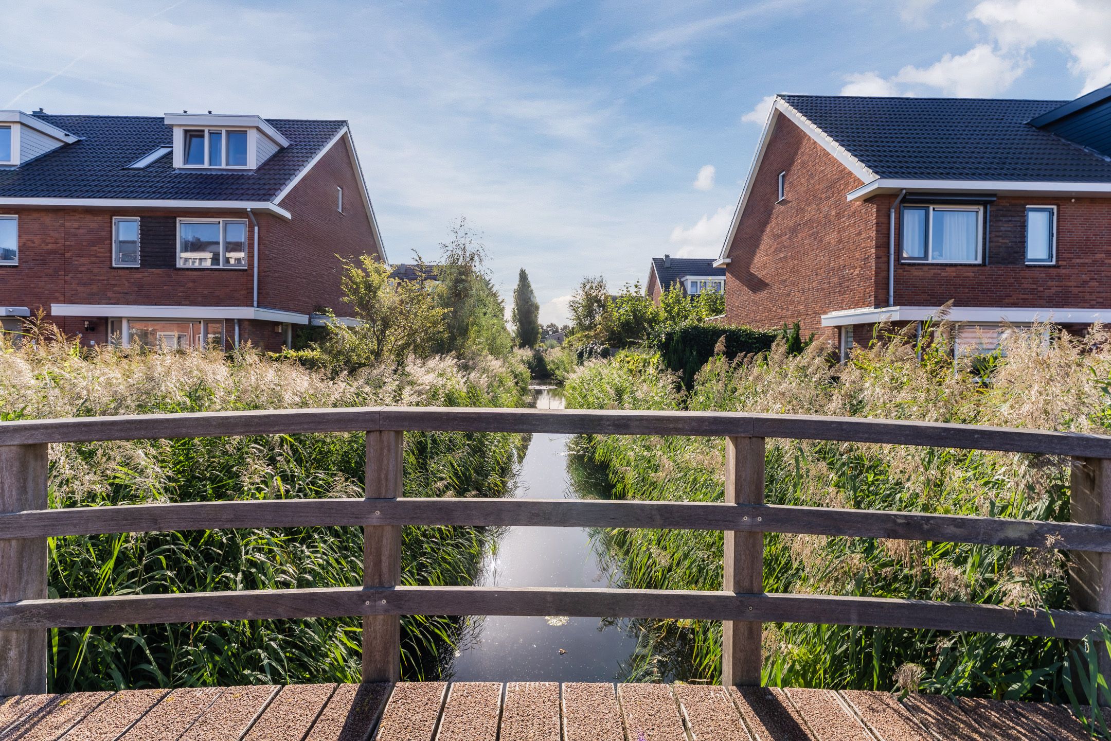 Foto 51 van Buxushaag 15