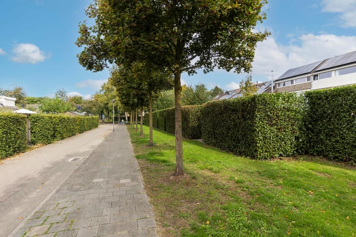 Foto 44 van Leonardusdal 75