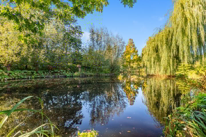 Foto 43 van Boekenstein 61