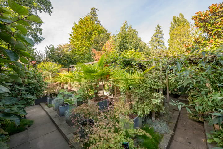 Foto 30 van Corlaerstraat 19