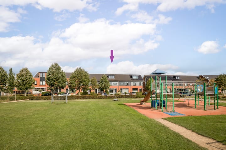 Foto 1 van Rietgans 11