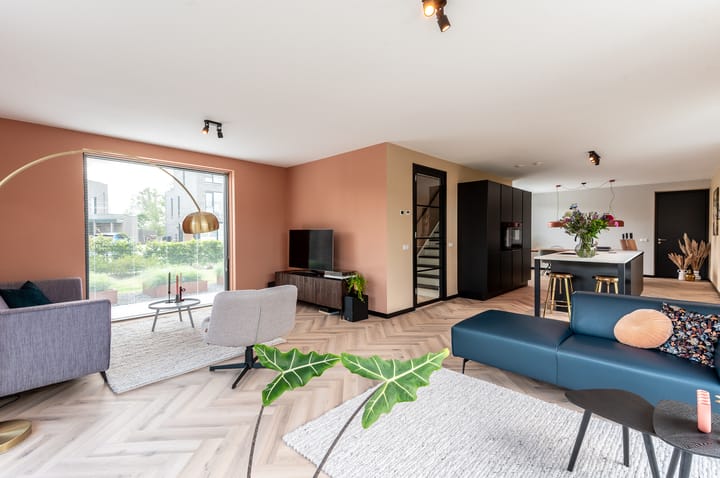 Photo 3 of Schoener 41 50