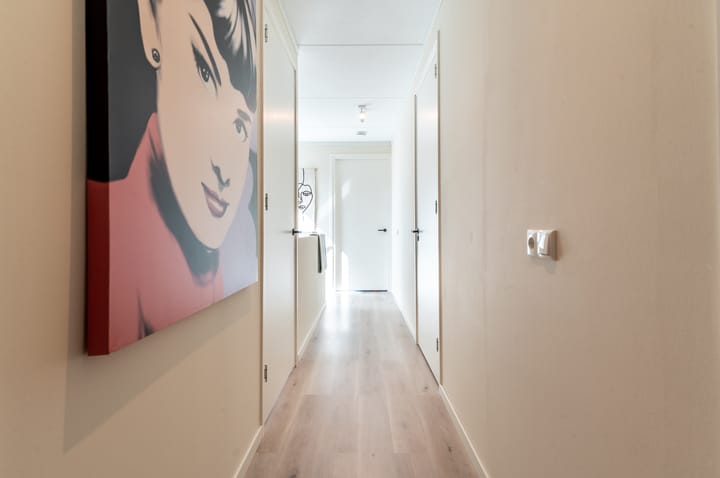 Foto 18 van Schoener 41 50