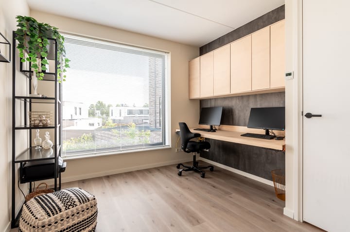 Foto 24 van Schoener 41 50