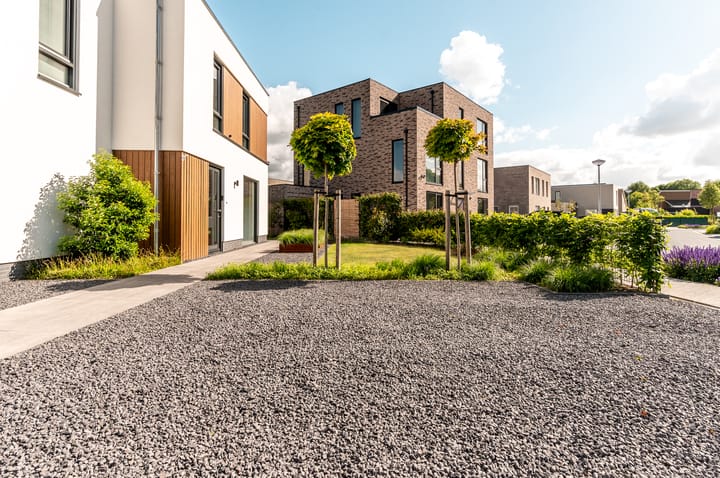 Foto 39 van Schoener 41 50