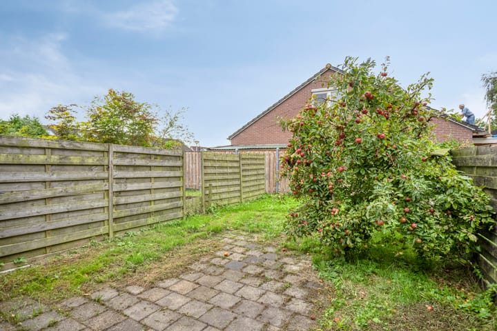 Foto 10 van Eendenkooi 18