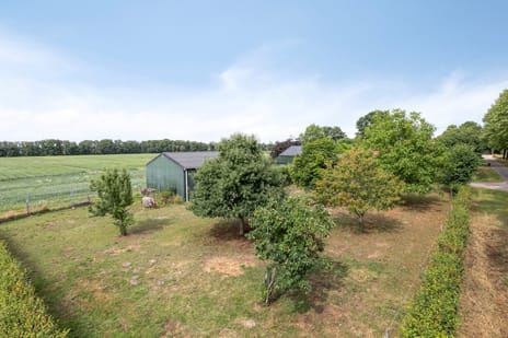 Koekoek secondary image