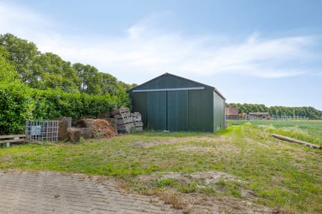 Koekoek tertiary image