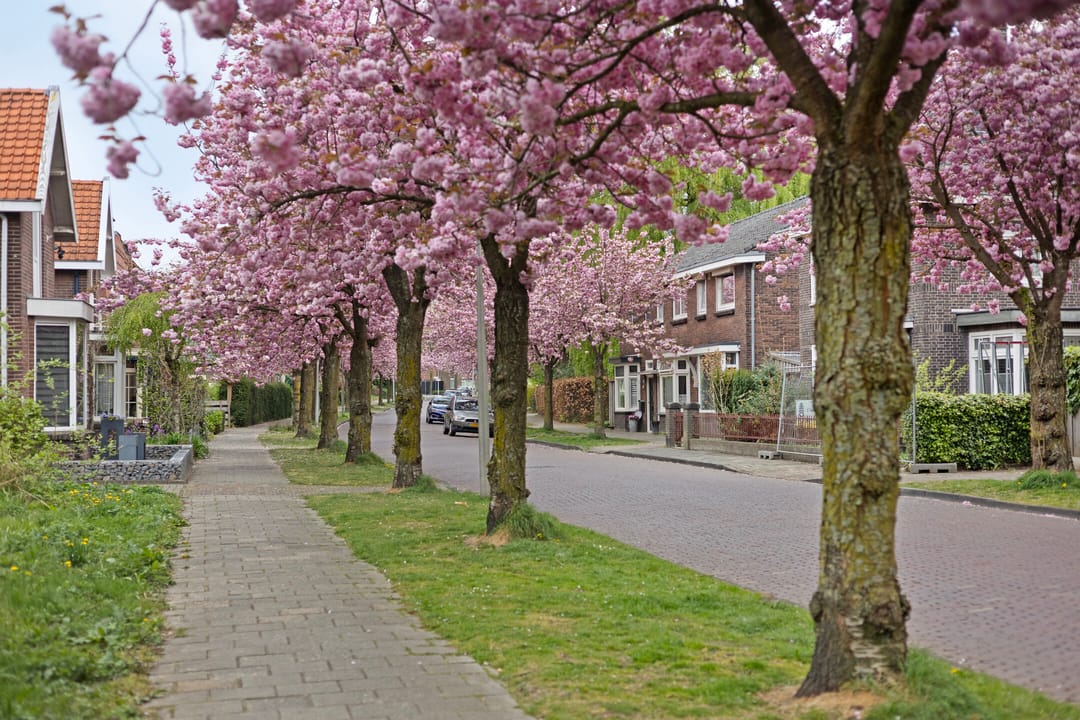 Foto 28 van Hoge Boekelerweg 6