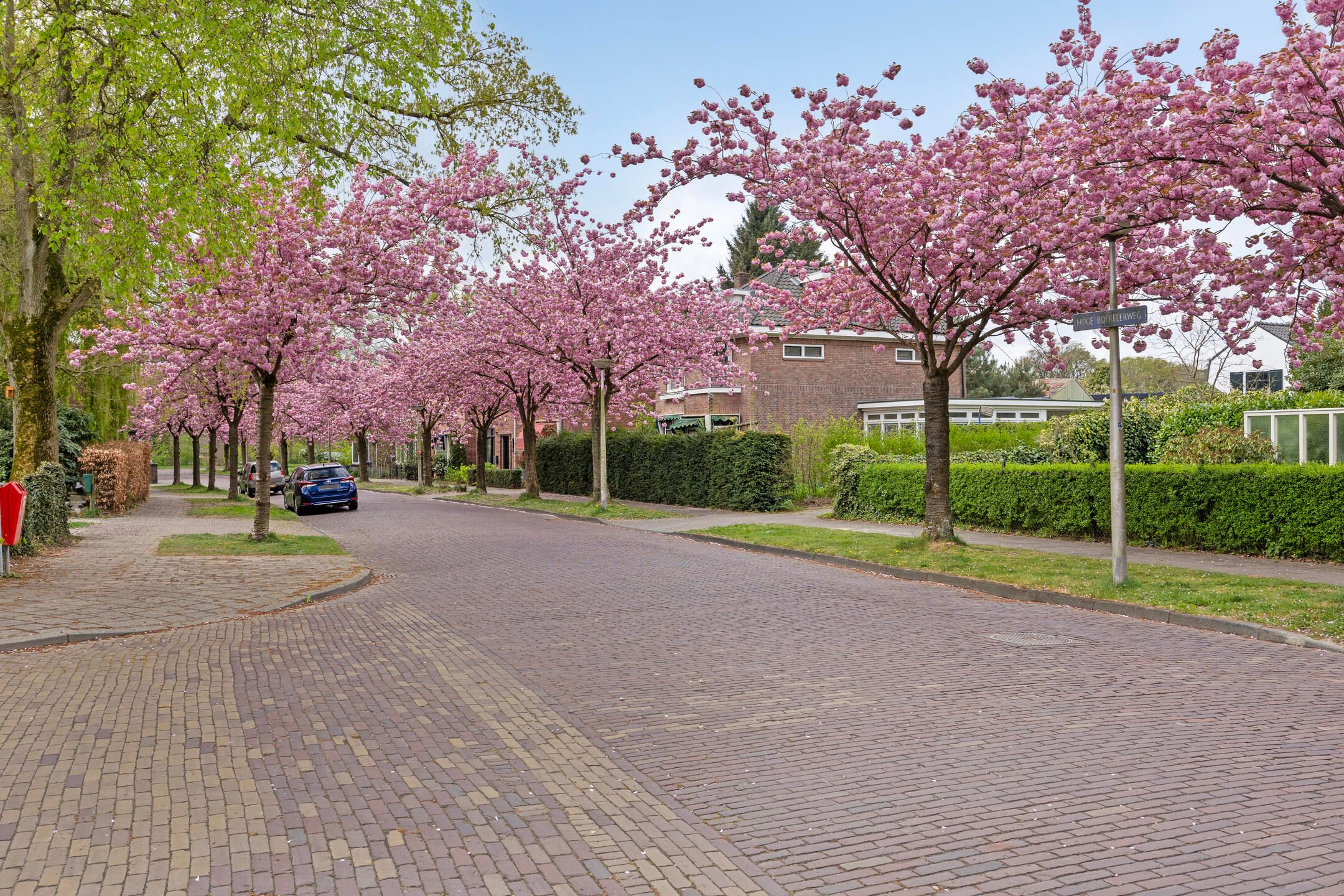 Foto 30 van Hoge Boekelerweg 6