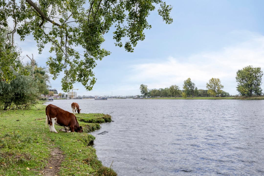 Foto 52 van Dokter Kanterslaan 190