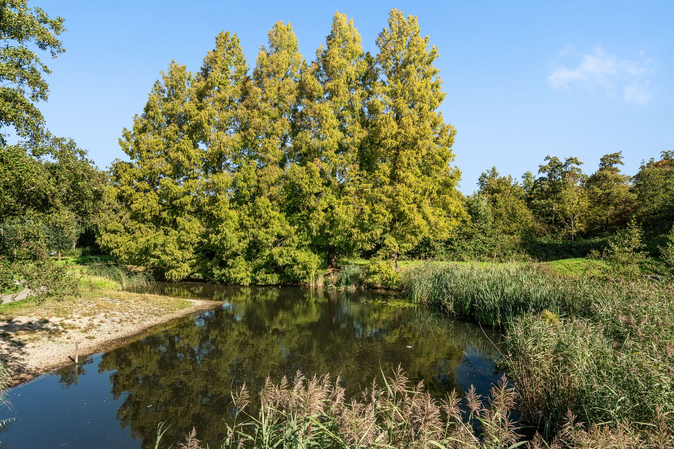 Foto 48 van Nesciohove 39