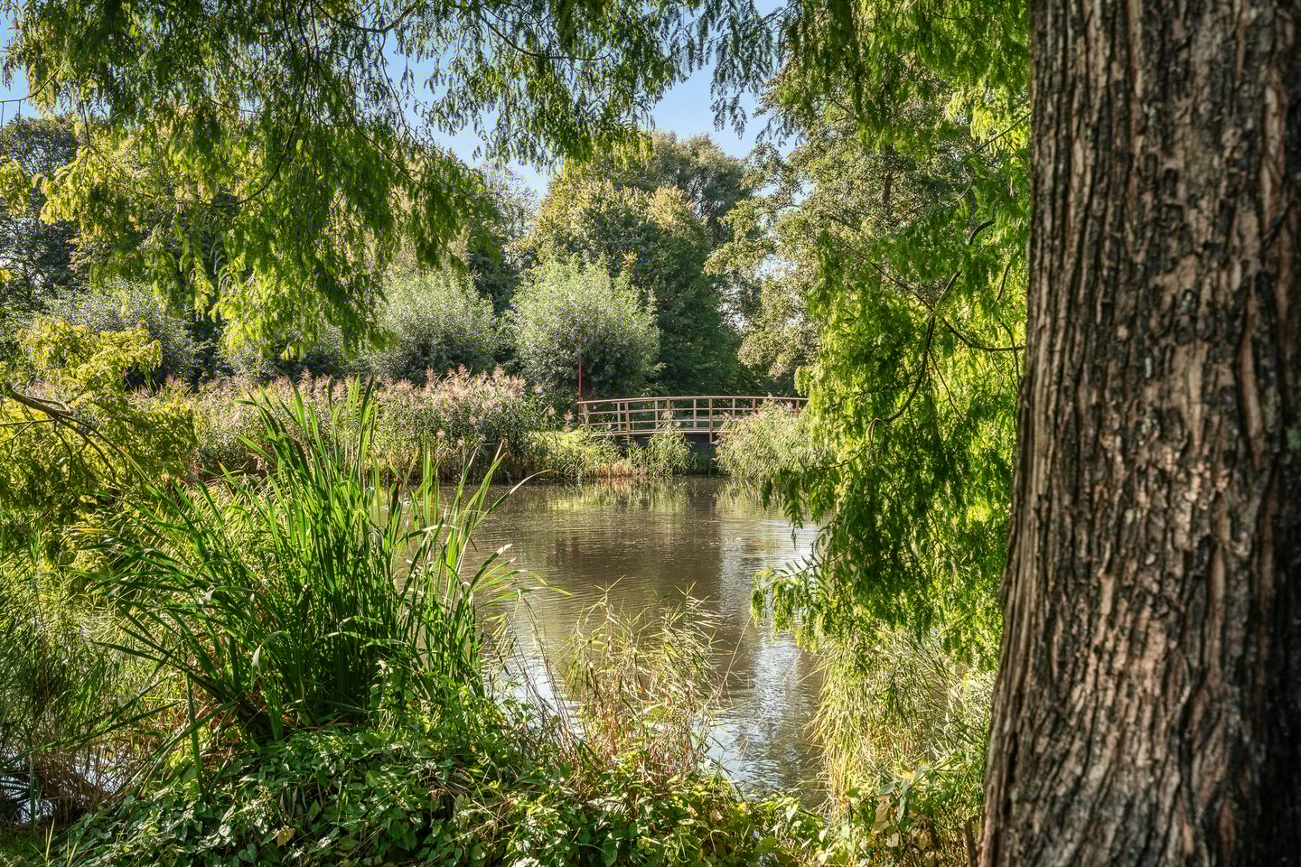 Foto 50 van Nesciohove 39