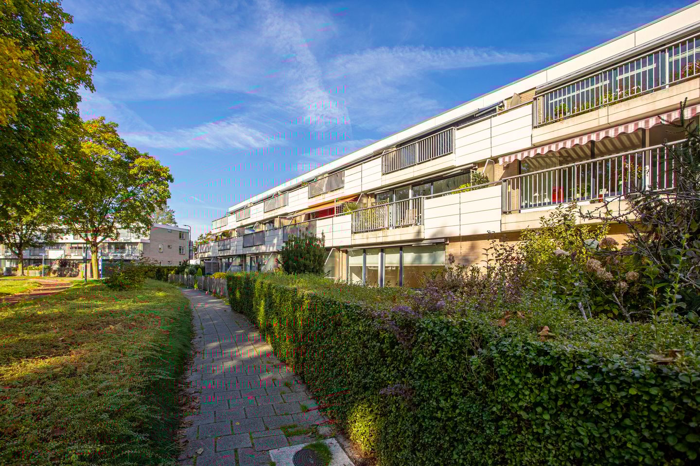 Foto 1 van Oudeveen 2