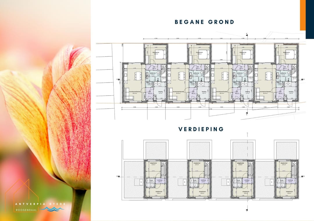 Photo 12 of Antverpia Stede