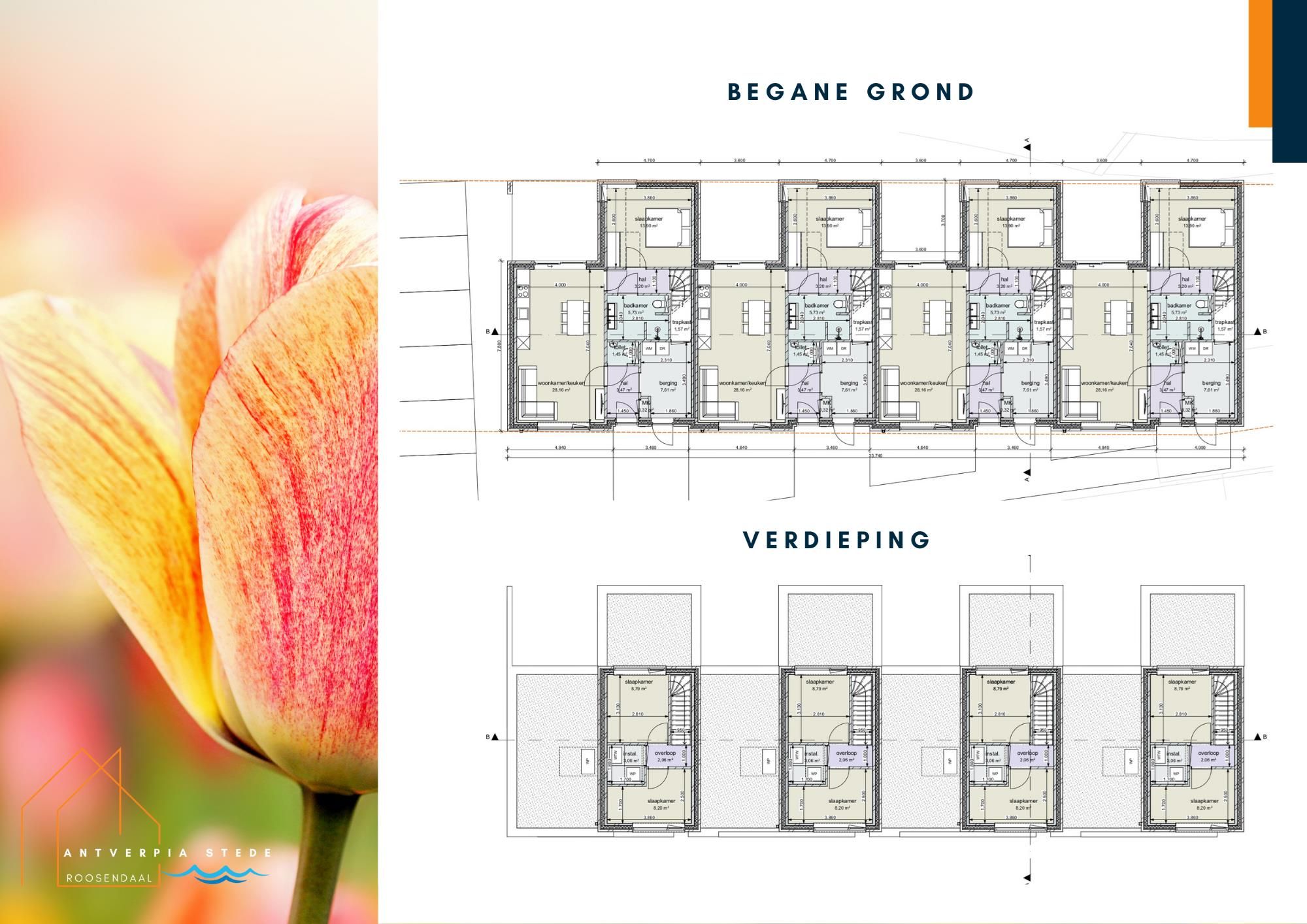 Photo 12 of Antverpia Stede