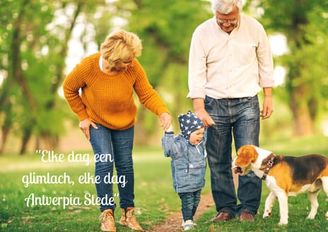 Photo 5 of Antverpia Stede