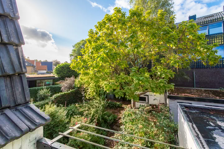 Foto 46 van Dokter van Peltlaan 12