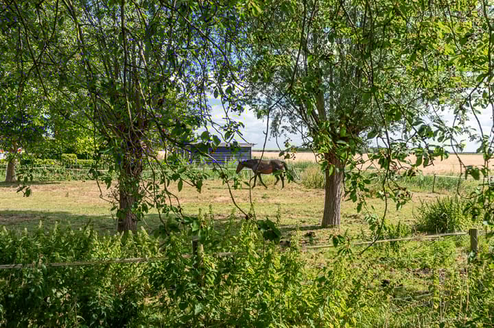 Foto 24 van Zeedorp 10-A