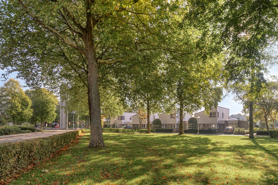 Foto 31 van de Jongestraat 8