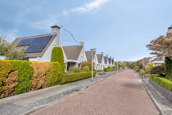 Foto 26 van Venetolaan 5