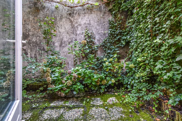 Photo 44 of Verwersdijk 10