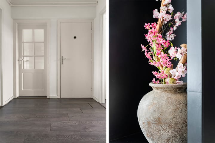 Foto 22 van Burgemeester Ploegmakerslaan 111