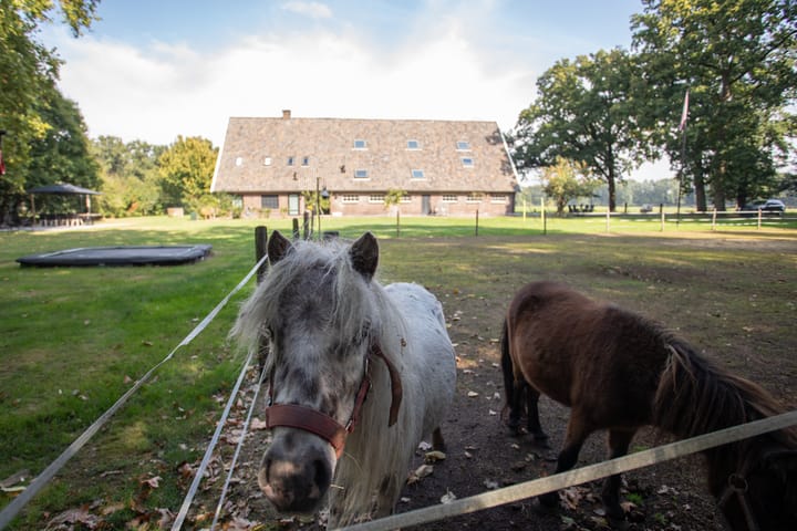 Foto 7 van Ypeloweg 20