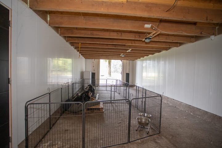 Foto 49 van Ypeloweg 20