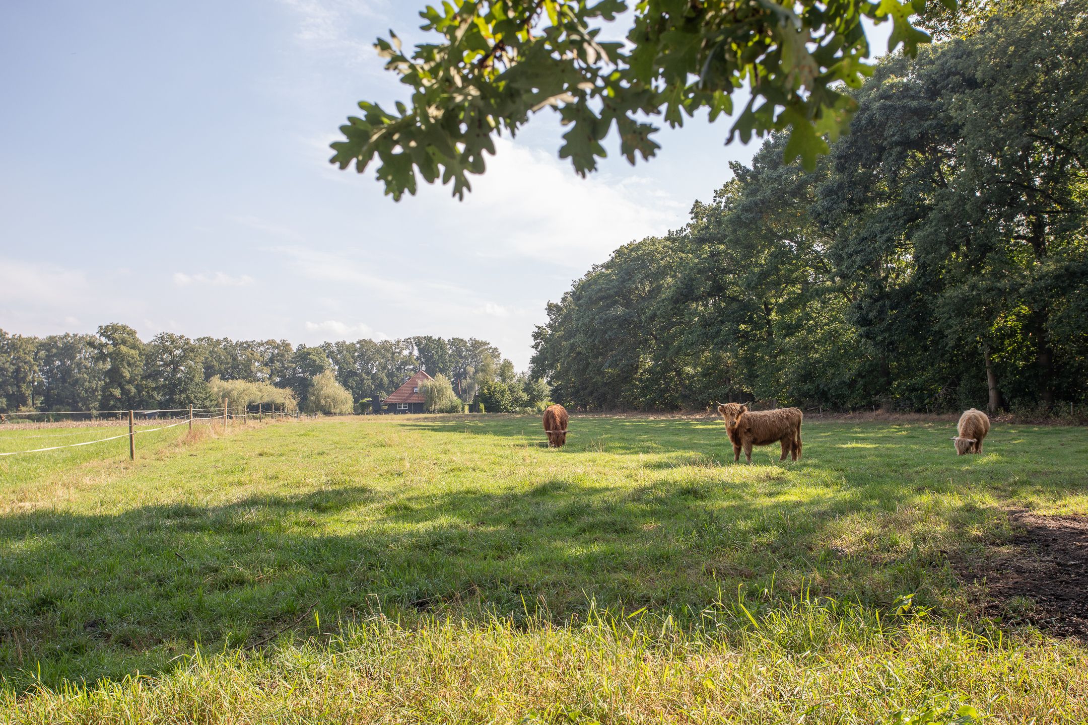 Foto 129 van Ypeloweg 20